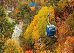 Tour Nhật Bản 2025: Cáp Treo Hakone Ngắm Mùa Thu